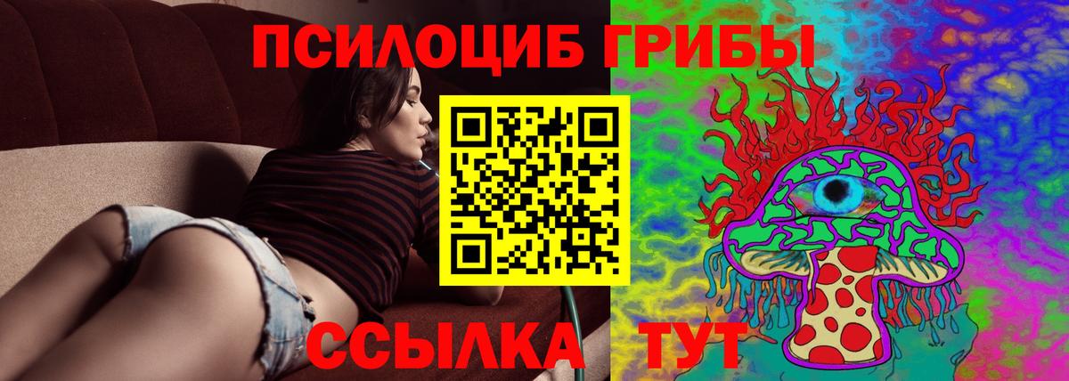 Псилоцибиновые грибы Psilocybe  Вход с VPN  Алатырь  Галлюциногенные грибы мицелий 