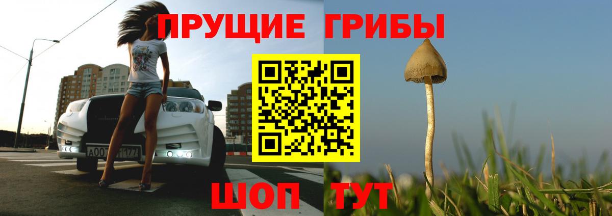 Псилоцибиновые грибы Cubensis Алатырь